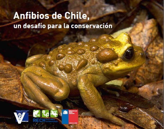 Anfibios de Chile un desafío para la conservación