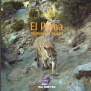 El Puma del Altiplano de Tarapacá  Descargar