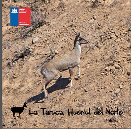 La Taruca huemul del norte  Descargar