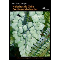Guía de Campo Helechos de Chile