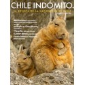 Revistas Chile Indómito