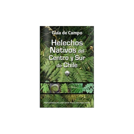 Helechos Nativos del Centro y Sur de Chile