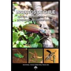 Insectos de Chile