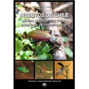 Insectos de Chile