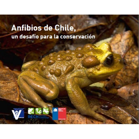 Anfibios de Chile un desafío para la conservación