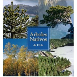 Árboles nativos de Chile